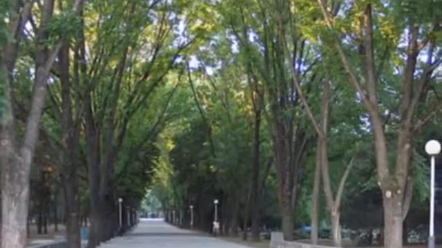 Краснодар любимый город смотреть онлайн