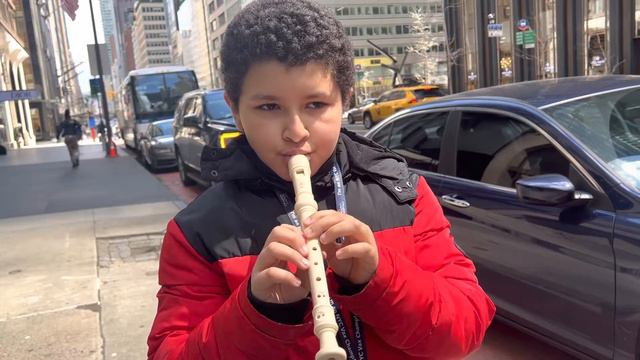 Worst sound in the world: flute Yamaha soprano recorder смотреть онлайн