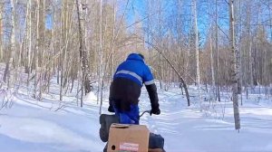 Мотобуксировщик Forza 15 - Покатушки в лесу #природа#лес#отдых#мотособака#мотобуксировщик#