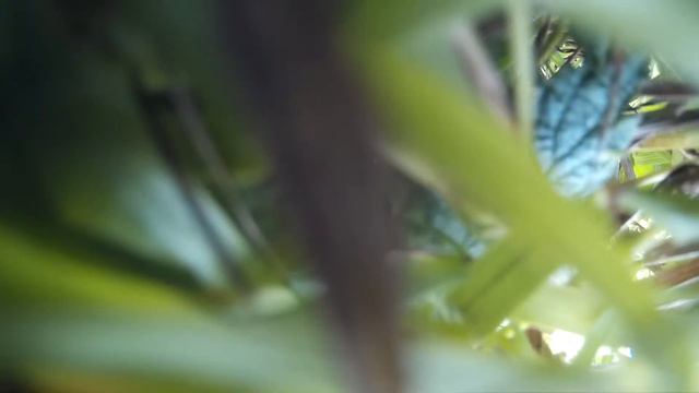 Квадрокоптер на базе клона рамы F450 от DJI, Naza-M Lite. смотреть онлайн