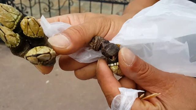 Малюск Персебес . Южная Корея полуостров Кодже . смотреть онлайн