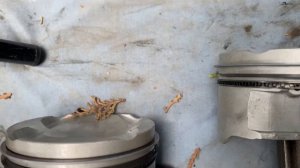 Капремонт двигателя FS. MAZDA 626 GF. Сборка блока цилиндров.