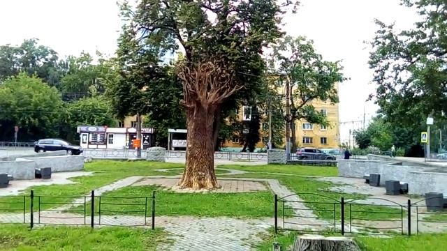 Идём к дереву желаний....загадать желание ))) смотреть онлайн