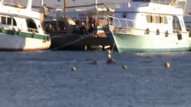 ведущий Сергей Пономаренко в Египте. смотреть онлайн