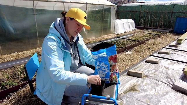 ХРИЗАНТЕМЫ МУЛЬТИФЛОРА УКРАСЯТ САД УЖЕ ЭТОЙ ОСЕНЬЮ , НО ТОЛЬКО ЕСЛИ ВЫ ИХ ПРАВИЛЬНО ПОСАДИТЕ смотреть онлайн