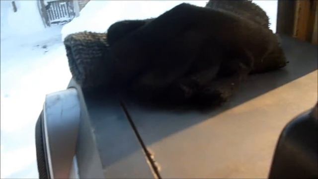 Проверка колонок на юмз смотреть онлайн