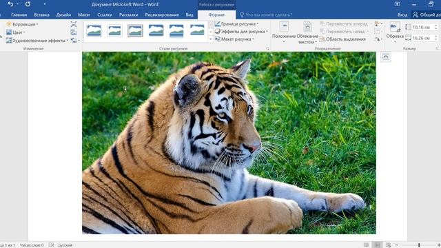 Как в ворде сделать картинку черно‐белой смотреть онлайн