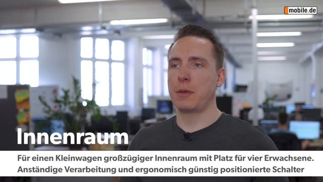 KurzCheck Mobile.de | Skoda Fabia