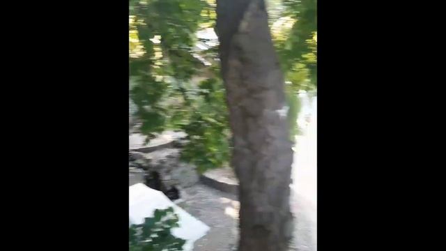 Июльская. Симферополь. летняя прогулка Салгир Набережная и Екатерининским садом. фонтан шахматный смотреть онлайн