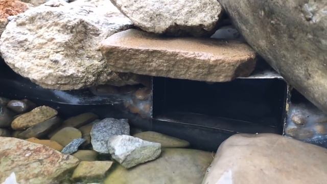 Пруд заливает проливными дождями // Дренаж и Перелив в моем пруду на участке возле дома смотреть онлайн