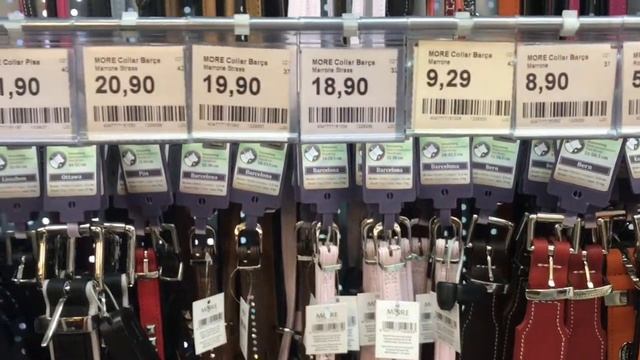 Огромный Зоомагазин В Лидо ди Езоло (Италии). Покупки Из Зоомагазина смотреть онлайн