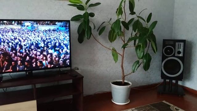 Амфитон 25 АС 027+ ресивер SONY. смотреть онлайн