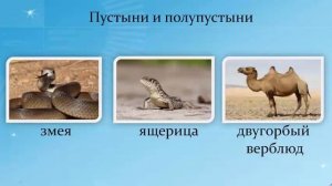 География, 7 класс: Природные зоны Евразии. Охрана природы