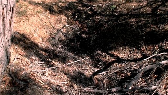 Part 2 Gold Hole - Expanding the current window - GOLD DETECTING VICTORIA AUSTRALIA смотреть онлайн