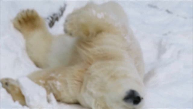 Кай после сна 26.12.2022 смотреть онлайн