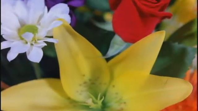 Свадебные футажи-фоны в хорошем качестве. смотреть онлайн