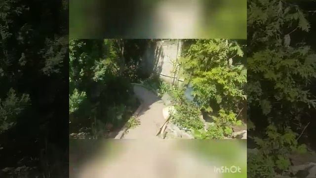 Тюльпаны 2019 смотреть онлайн