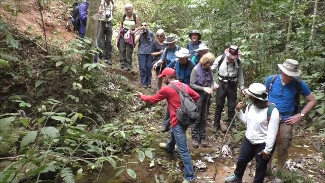 Cuba day5: Topes de Collantes смотреть онлайн