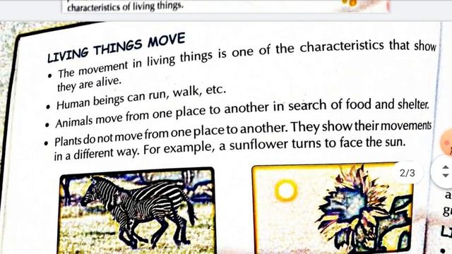 Living and Non-living things смотреть онлайн