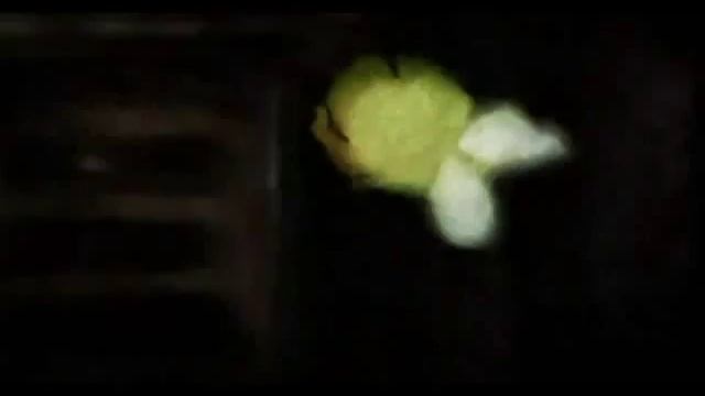 Жила-была муха! (часть 2) смотреть онлайн