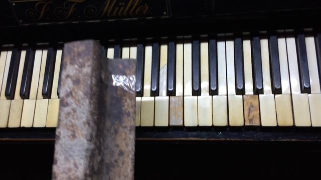 Me Playing Jingle Bells on Piano with Steely Rail |ᴴᴰ смотреть онлайн