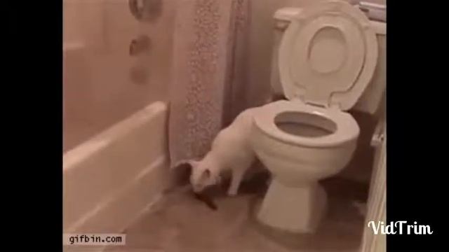 Тот момент когда все твои панты на перекосяк😂😂😅😀 смотреть онлайн