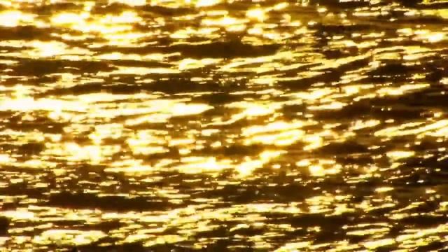 Зинаида Миркина. Куда, куда взлетает птица ? смотреть онлайн