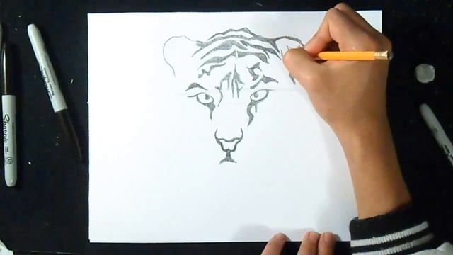как рисовать тигр граффити смотреть онлайн