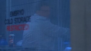 Timon and Pumbaa Interrupt 4 Jurassic Park