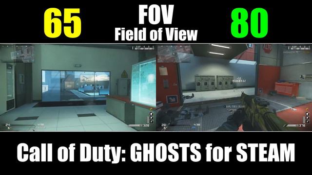 FOV(Field of View,視野角)の差 - Call of Duty GHOSTS for Steam смотреть онлайн