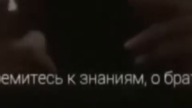 коран#ислам## стремитесь к знаниям братья смотреть онлайн