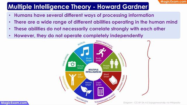 Howard Gardner & the Multiple Intelligence Theory CDP Concepts English Explanation смотреть онлайн