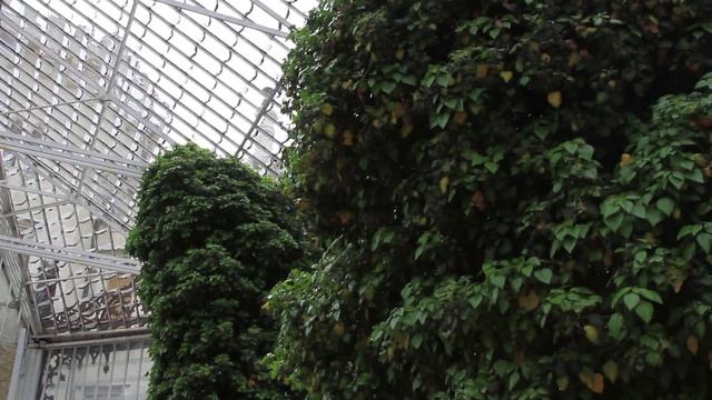 Czech Republik. Hluboká nad Vltavou. Чехия. Замок Глубоко над Влтавой. смотреть онлайн