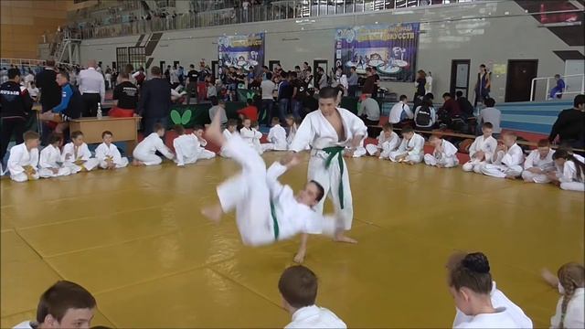 II Байкальская олимпиада боевых искусств. Такемусу айкидо. смотреть онлайн