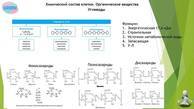 Химический состав клетки смотреть онлайн
