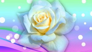 Футаж. Цветочный фон 87