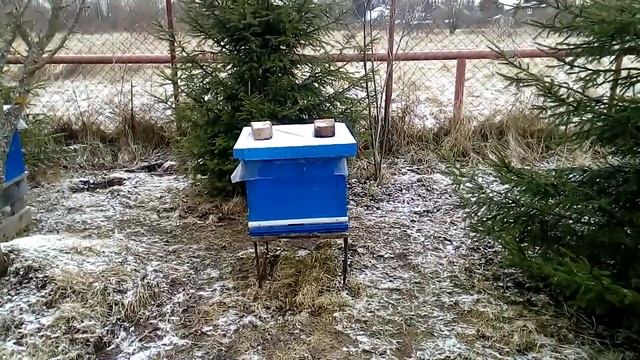 Пасека 14 марта! Клубы развалились, что делать? смотреть онлайн