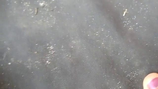 Как и для чего срезать усы у клубники! смотреть онлайн