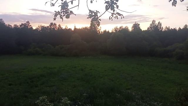 Охота с лабаза на кабана в 2023 г. на пшеничном Поле а пришла ?? смотреть онлайн