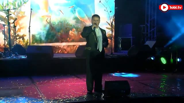 Ромашковые поля - кавер в исполнении В. Чикишева смотреть онлайн