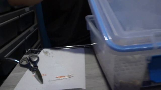 Super Vanilla Clown Ball Python Clutch Cutting!!! CRAZY ODDS!!! смотреть онлайн