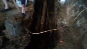 Как работает навозоуборочный транспортёр тсн-160 а