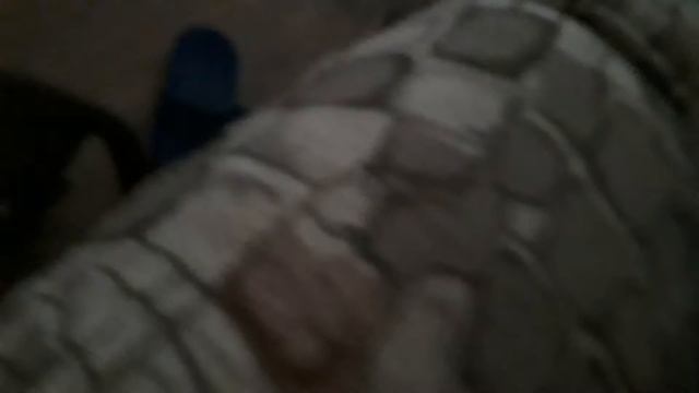 Кот не атдаёт тапки смотреть онлайн