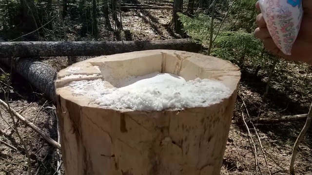 Лоси на солонце# 2 смотреть онлайн