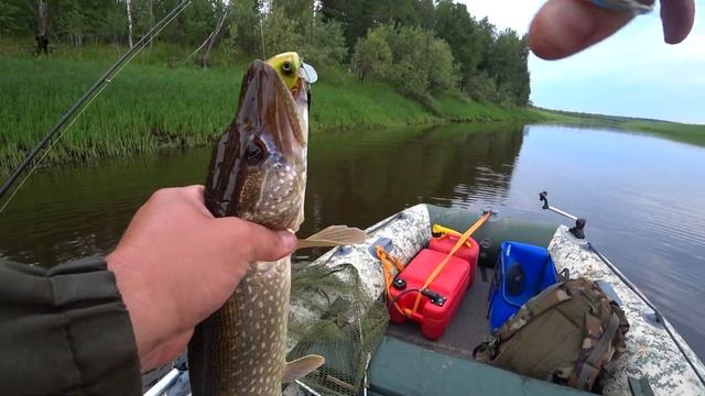 Ловим и сразу в коптилку. Рыбалка с ночевой. ХМАО. смотреть онлайн