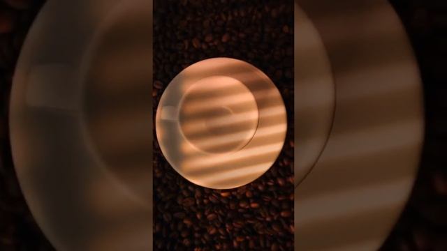 Dream Coffee Norway смотреть онлайн