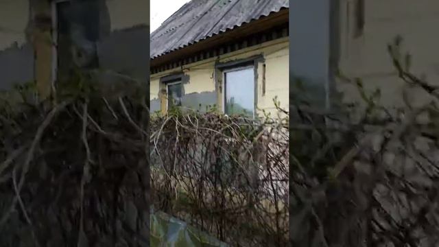 Дача Любовь Павловна смотреть онлайн