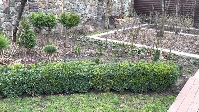 ПОСАДКА СЕМЯН ГАЗАНИИ, КОРНЕЙ ДАЛИИ, ВОЗВРАТ УЛИЧНЫХ СУККУЛЕНТОВ, ПОДОЛ, ЦВЕТЫ ☀️ смотреть онлайн