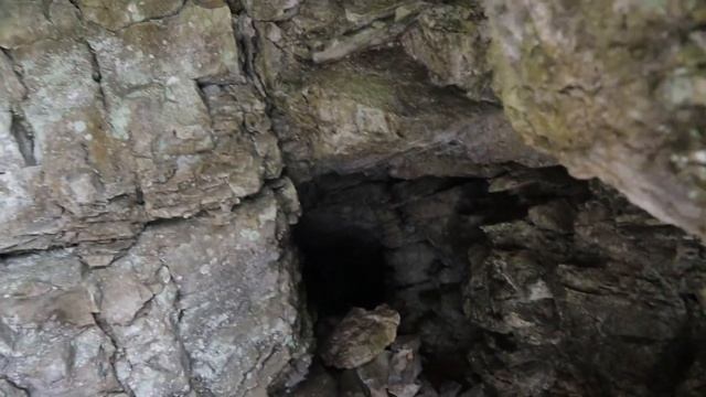 В Поисках Чуди Белоглазой (2-я часть) смотреть онлайн