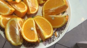 КАК ВЫРАСТИТЬ АПЕЛЬСИН ИЗ КОСТОЧКИ В ДОМАШНИХ УСЛОВИЯХ.